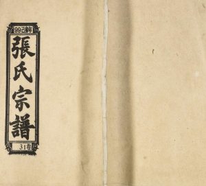 1999年修张氏宗谱[31卷]安徽怀宁张姓电子版族谱下载