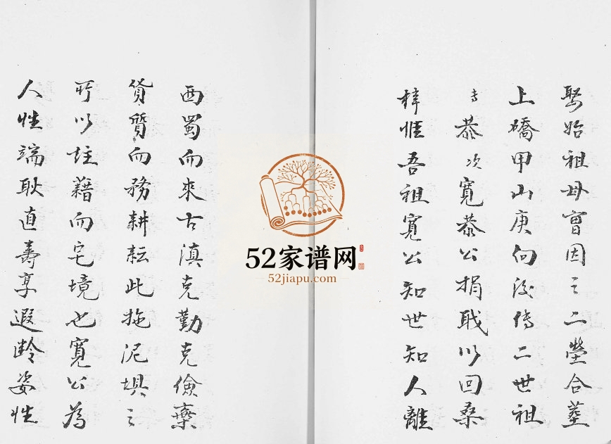 1958年修张氏族谱罗坎分支 云南镇雄清河郡 百忍堂张姓电子版家谱下载