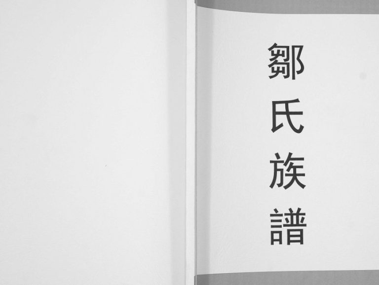 2012年修邹氏族谱[不分卷]云南盐津邹姓电子版家谱下载