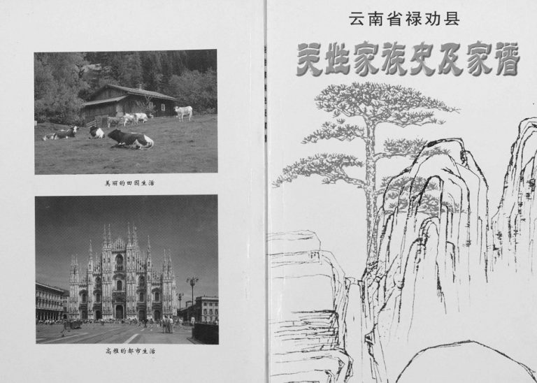 2004年修云南省禄劝县关姓家族史及家谱[不分卷]禄劝 武定关氏电子版族谱下载