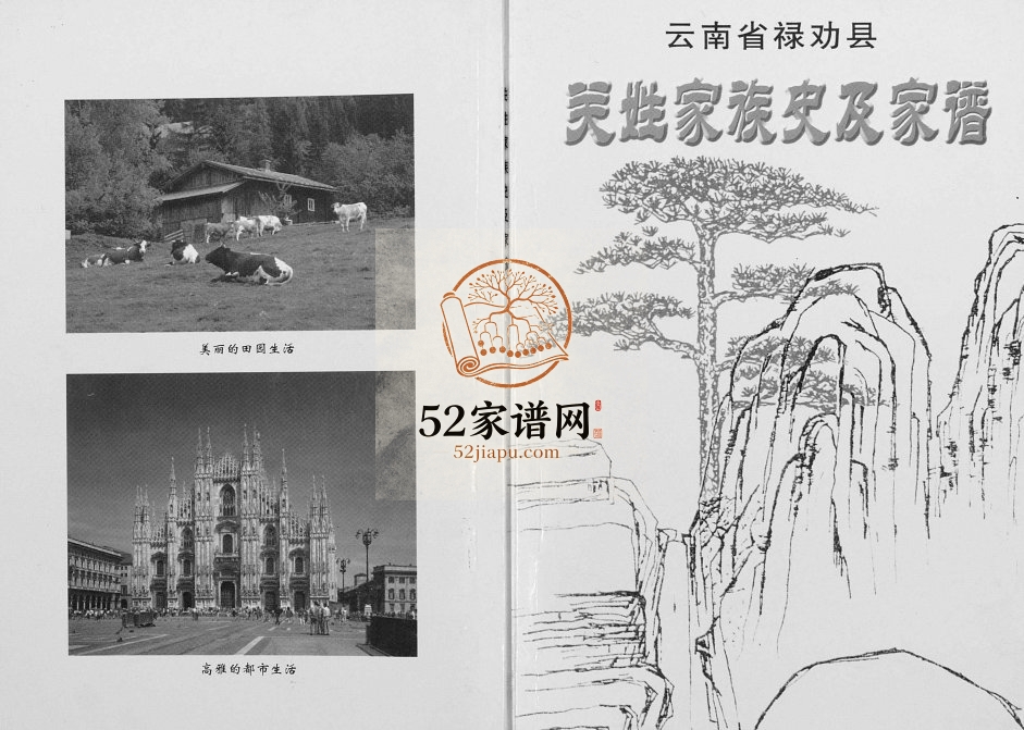 2004年修云南省禄劝县关姓家族史及家谱[不分卷]禄劝 武定关氏电子版族谱下载