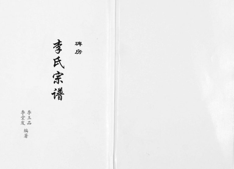 2009年修碑房李氏宗谱[不分卷]云南镇雄陇西堂李姓电子版族谱下载