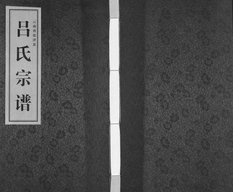 2016年修云南省盐津县吕氏宗谱[不分卷]吕姓电子版族谱下载