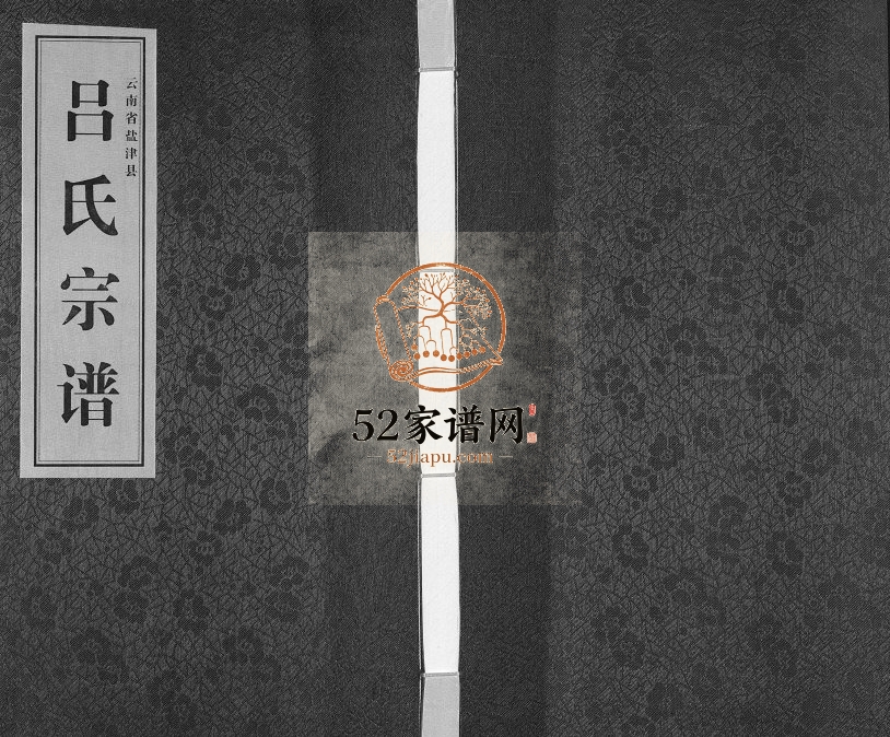 2016年修云南省盐津县吕氏宗谱[不分卷]吕姓电子版族谱下载