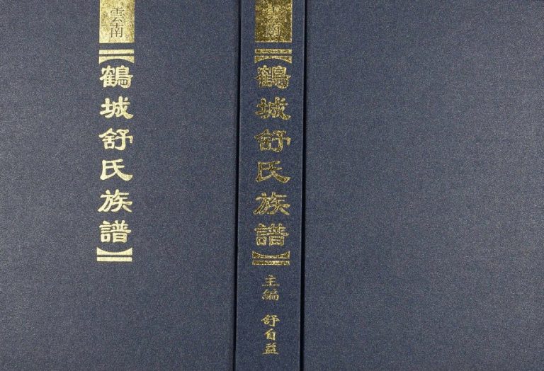 2006年修云南鹤城舒氏族谱 昭通舒姓电子版家谱下载