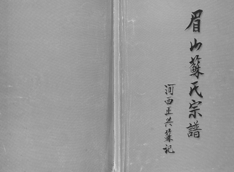 2003年修眉山苏氏宗谱河西正兴苏记 云南通海苏姓电子版族谱下载