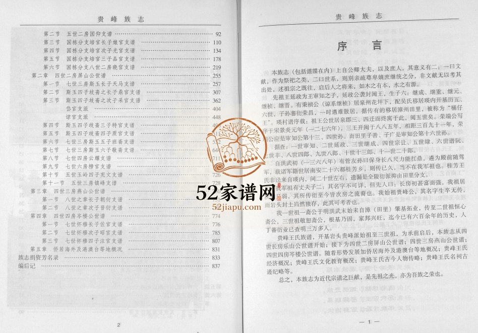 2001年修贵峰王氏族志 福建南安王姓电子版族谱下载