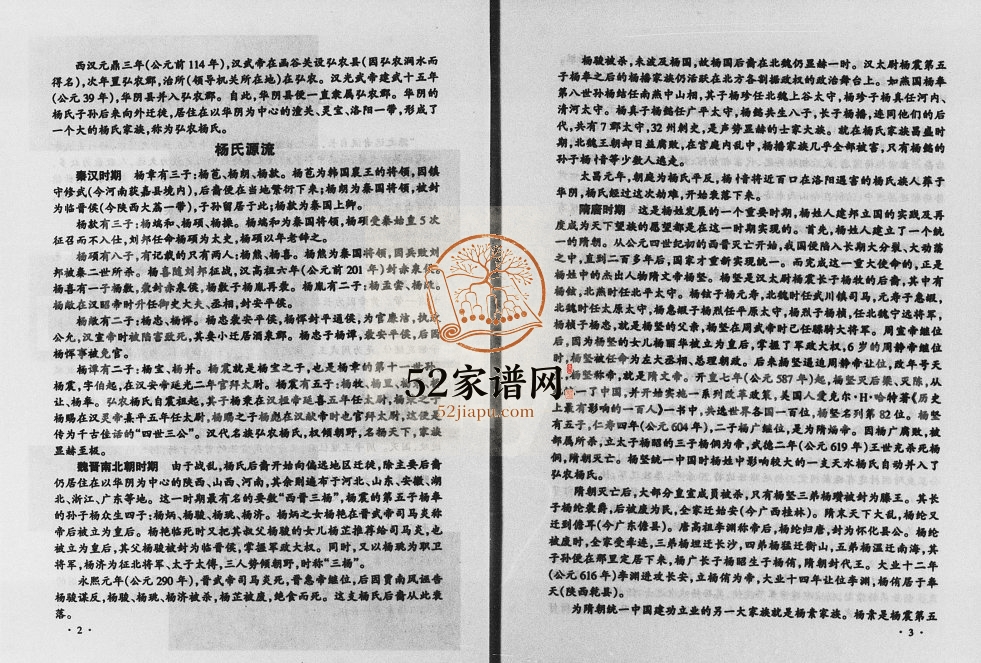 2003年修弘农景东杨氏宗谱 云南景东 景谷 镇沅杨姓电子版族谱下载