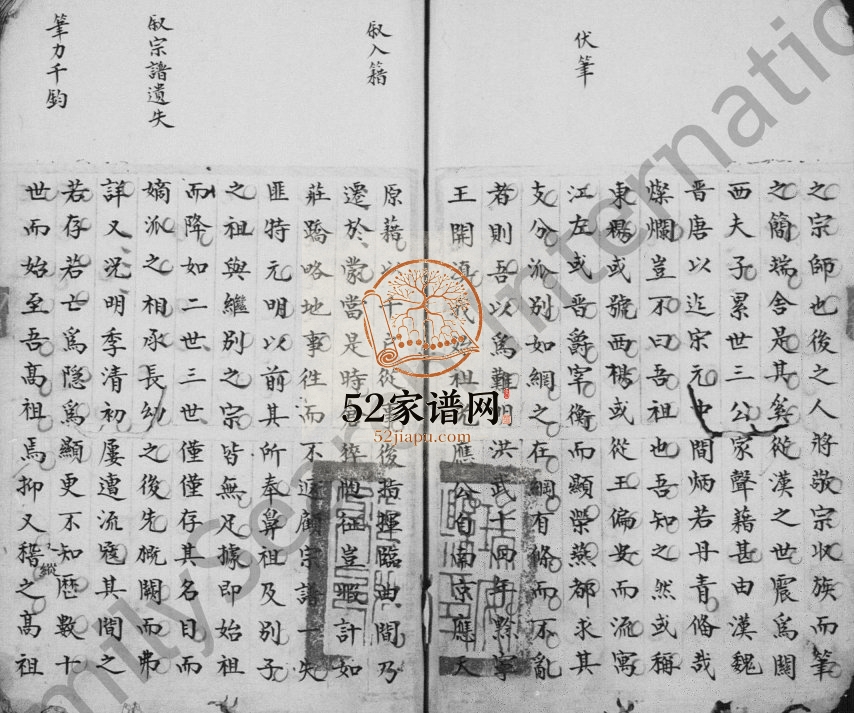 1839年修杨氏宗谱 云南红河杨姓电子版族谱下载