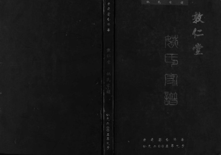 2005年修云南省会泽县敦仁堂姚氏家谱 曲靖 昆明姚姓电子版族谱下载