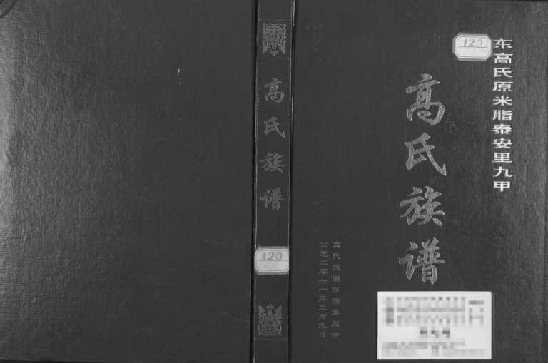 2011年修东高氏原米脂泰安里九甲高氏族谱 陕西高姓电子版家谱下载