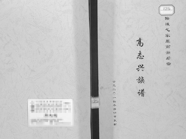 2014年修高志兴家谱 陕西韩城高姓电子版族谱下载