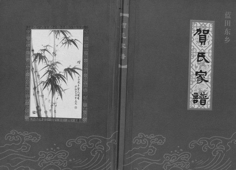 2005年修蓝田东乡贺氏家谱 陕西贺姓电子版族谱下载