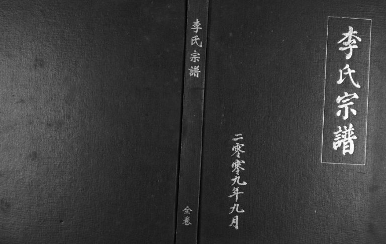 2009年修李氏宗谱 陕西山阳李姓电子版族谱下载