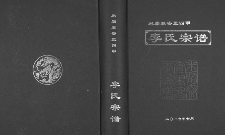 2017年修李氏宗谱米脂泰安里四甲 陕西李姓电子版族谱下载