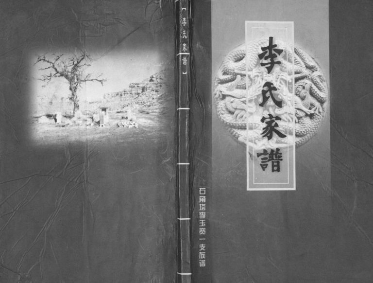 2007年修李氏家谱石角塔李玉宽一支族谱 陕西神木李姓电子版族谱下载