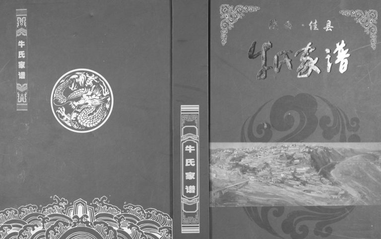 2016年修佳县牛氏家谱 陕西牛姓电子版族谱下载