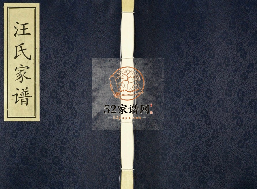 2017年修陕西安康汪氏家谱 汪姓电子版族谱下载