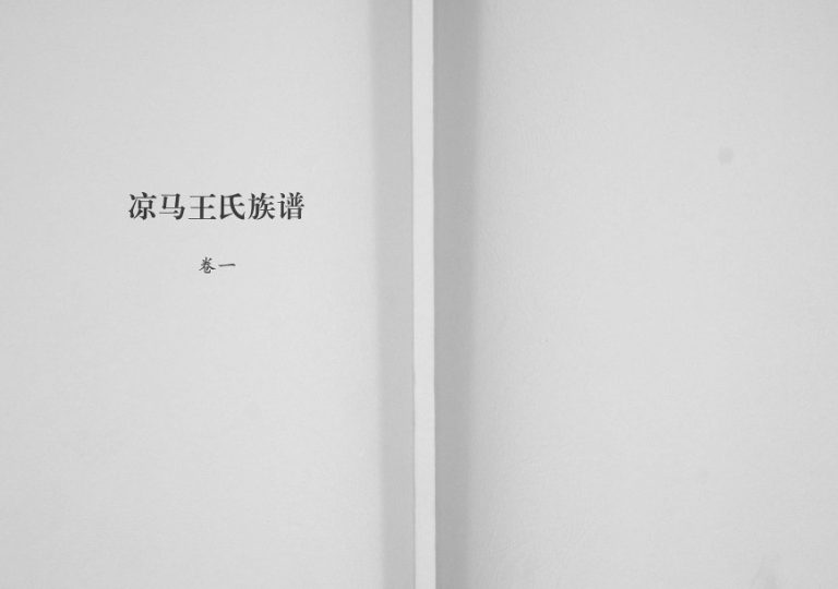 2008年修凉马王氏族谱[4卷]陕西礼泉王姓电子版家谱下载