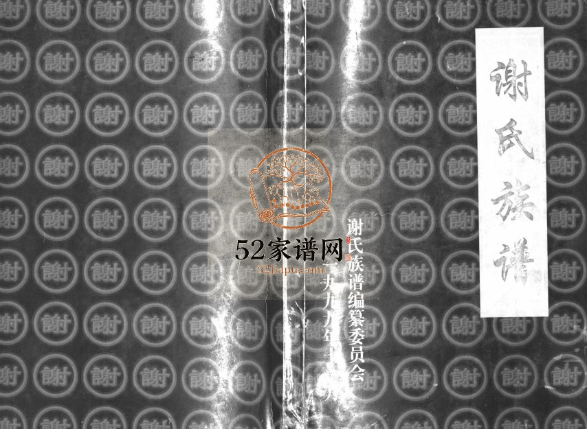 1999年修谢氏宗谱 陕西榆林 延安 内蒙古 乌海 宁夏盐池 甘肃华池谢姓电子版族谱下载