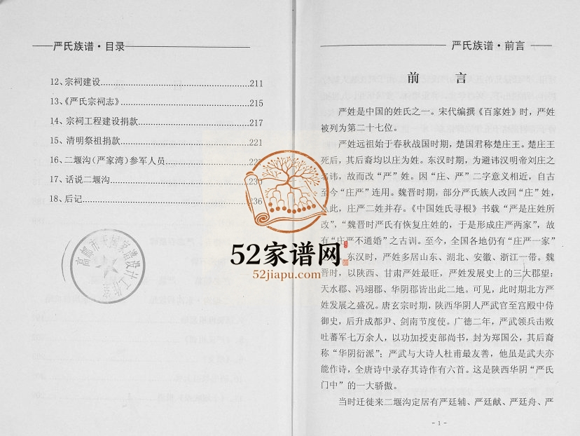 2012年修严氏族谱陕西华阴十堰支 湖北郧阳严姓电子版家谱下载
