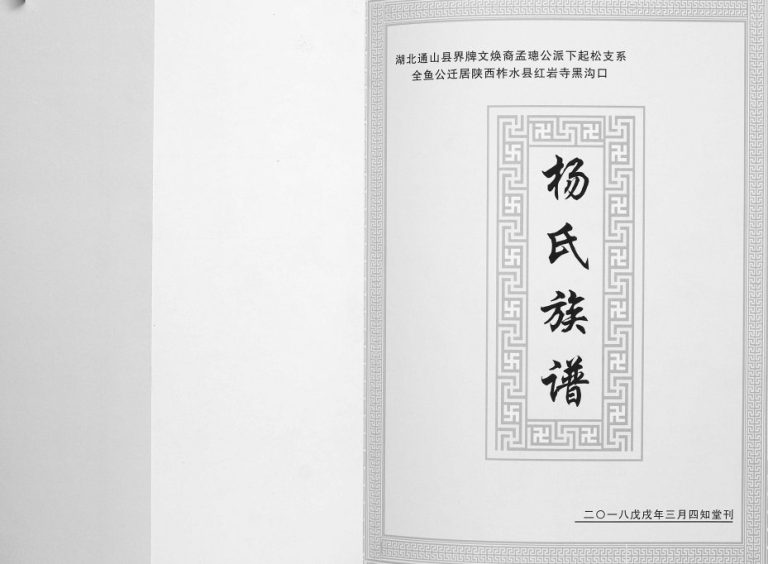 2018年修湖北通山县界牌文焕裔孟聪公派下起松支系全鱼公迁居陕西柞水县红岩寺黑沟口杨氏族谱 陕西四知堂杨姓电子版家谱下载