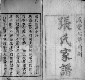 1856年修张氏家谱 陕西 江苏张姓电子版族谱下载