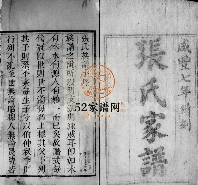 1856年修张氏家谱 陕西 江苏张姓电子版族谱下载