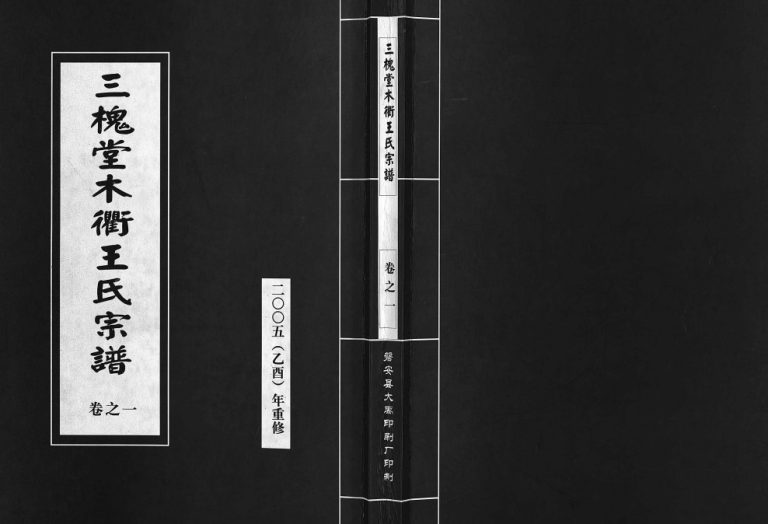 2005年重修三槐堂木衢王氏宗谱[4卷]浙江东阳王姓电子版族谱下载