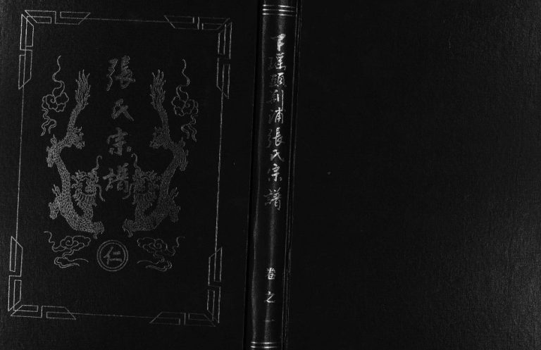 2004年重修下瑶头荆浦张氏宗谱[5卷]浙江金华 东阳张姓电子版族谱下载