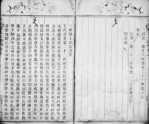 1857年十三修丹址王氏宗谱[残卷]浙江缙云王姓电子版族谱下载