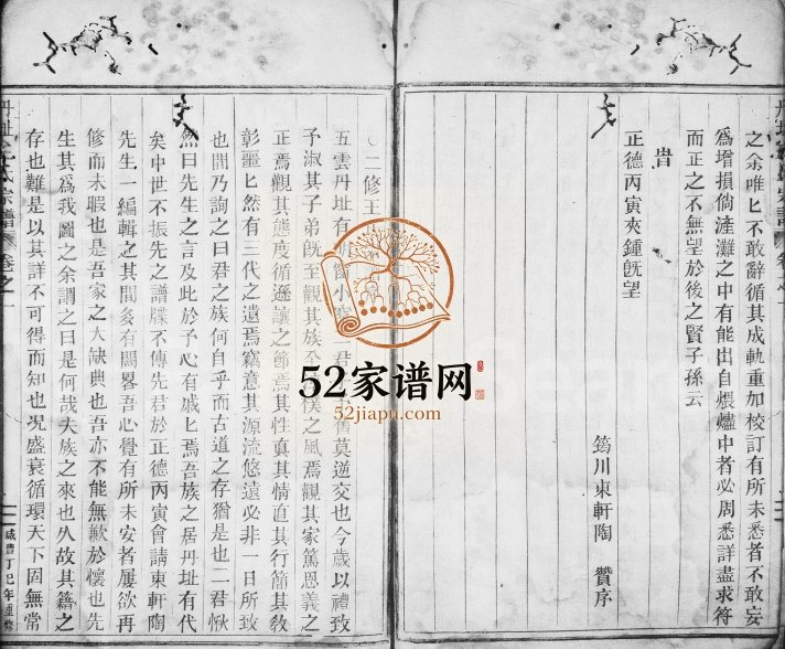1857年十三修丹址王氏宗谱[残卷]浙江缙云王姓电子版族谱下载