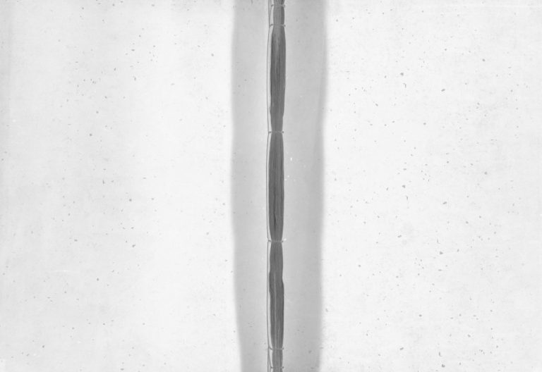 1895年重修五塘邵氏宗谱[2卷]浙江兰溪邵姓电子版族谱下载