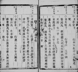 1905年重修五云张氏宗谱[残卷]浙江缙云张姓电子版族谱下载