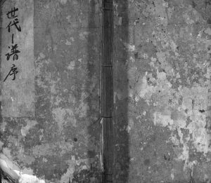 1917年修五云玉岩陈氏宗谱[13卷]浙江缙云 庆元 松阳 开化 龙游陈姓电子版族谱下载