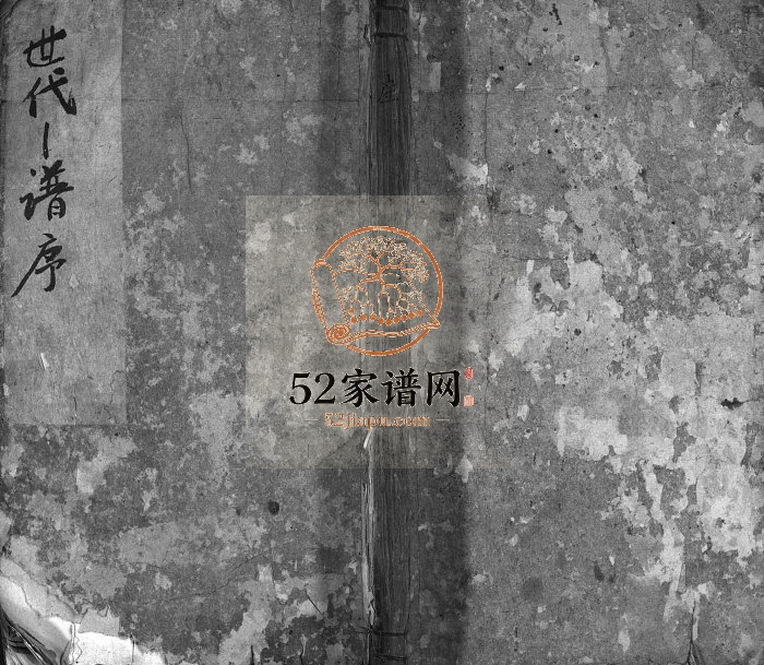 1917年修五云玉岩陈氏宗谱[13卷]浙江缙云 庆元 松阳 开化 龙游陈姓电子版族谱下载