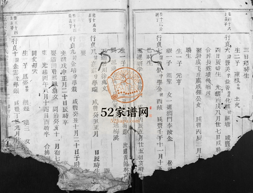 1923年修五云甘罗施氏宗谱 浙江缙云施姓电子版族谱下载