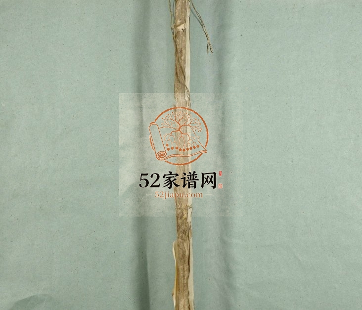 1866年修五云陈氏宗谱[4卷]浙江缙云陈姓电子版族谱下载