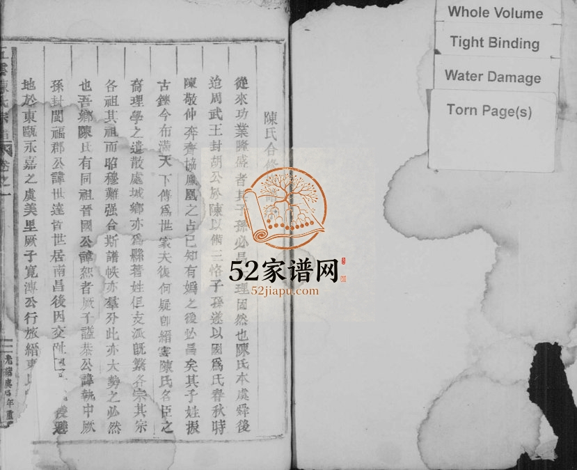 1880年修五云陈氏宗谱[4卷]浙江缙云陈姓电子版族谱下载