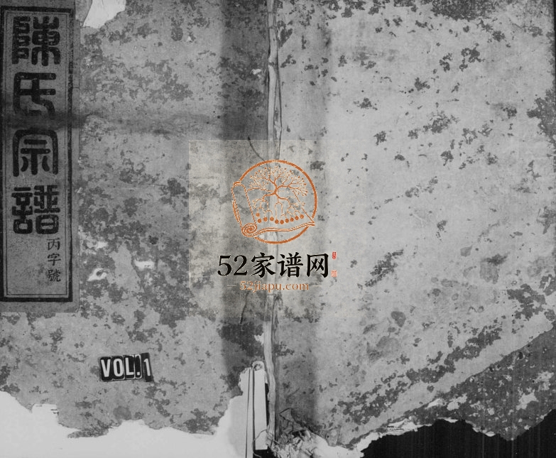 1929年修五云陈氏宗谱[残卷]浙江缙云陈姓电子版族谱下载
