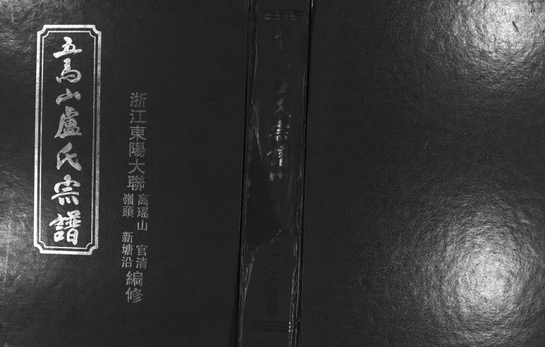 2003年重修五马山卢氏宗谱 浙江东阳卢姓电子版族谱下载