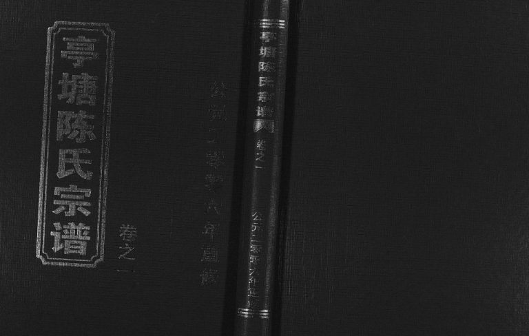 2006年重修亭塘陈氏宗谱[4卷]浙江东阳陈姓电子版族谱下载