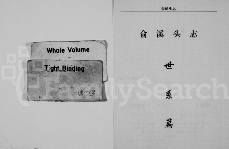 1997年修(俞氏)俞溪头志 浙江永康俞溪头村俞姓电子版族谱下载
