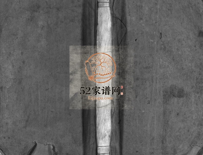 1940年重修仓后陈氏宗谱[不分卷]浙江温州陈姓电子版族谱下载