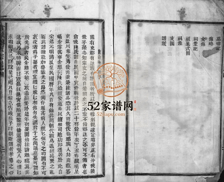 1940年重修仓后陈氏宗谱[不分卷]浙江温州陈姓电子版族谱下载