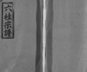 1992年重修六桂堂联环宗谱[不分卷]浙江苍南 平阳电子版族谱下载