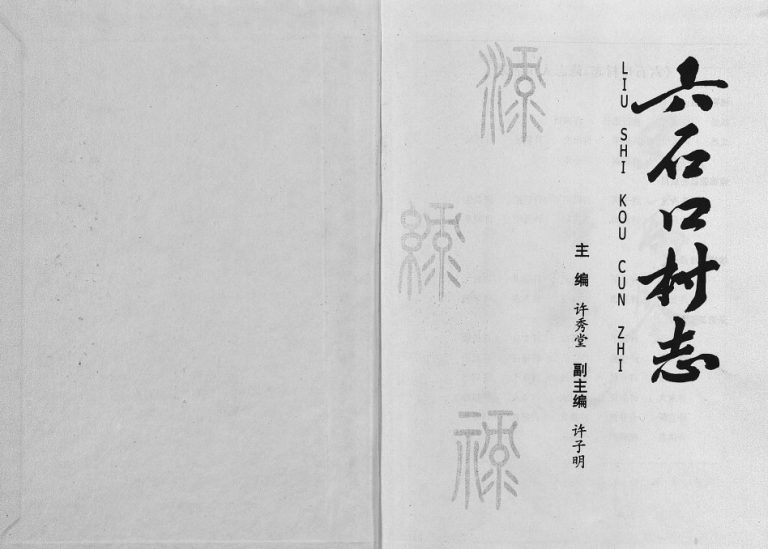 2004年重修[许氏]六石口村志 浙江东阳许秀堂许姓电子版族谱下载