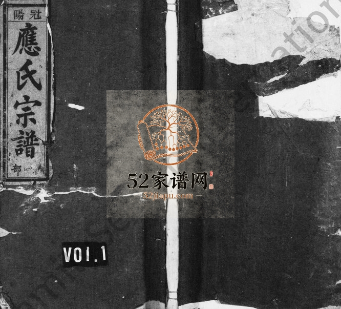 1949年五云龙溪冠阳应氏重修宗谱[19卷及卷末]浙江缙云应姓电子版族谱下载