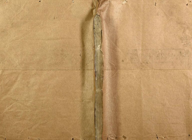 1894年重修剡东范阳卢氏宗谱 浙江嵊州卢姓电子版族谱下载