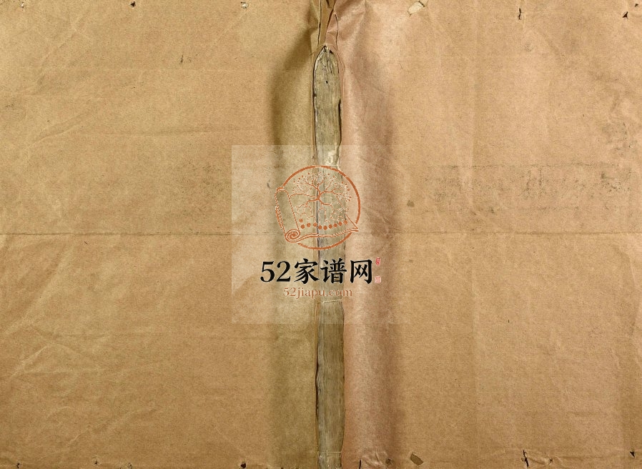 1894年重修剡东范阳卢氏宗谱 浙江嵊州卢姓电子版族谱下载